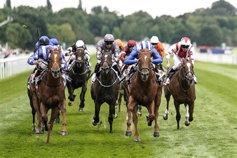 49s horse racing results